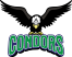 Condors Andes